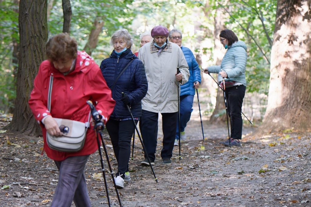 elderly, forest, trekking-6806996.jpg